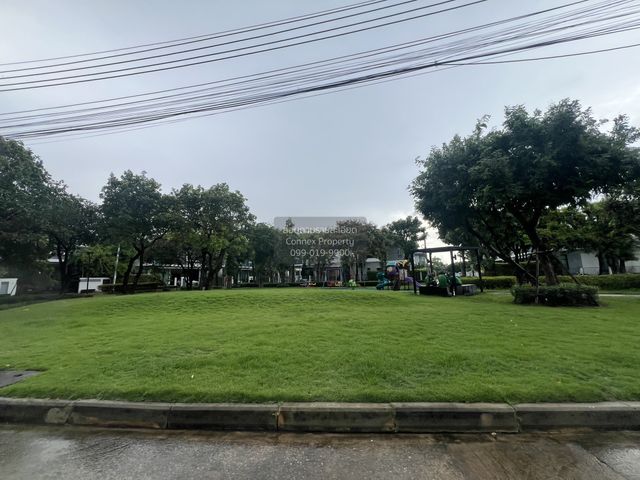 place photo 41