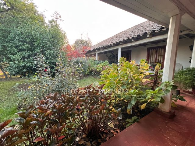 place photo 41