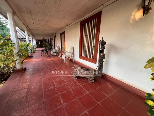 place photo 42