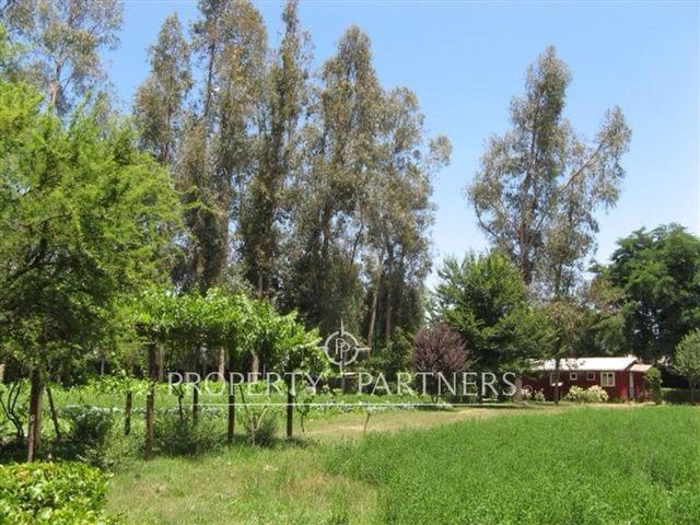 place photo 26