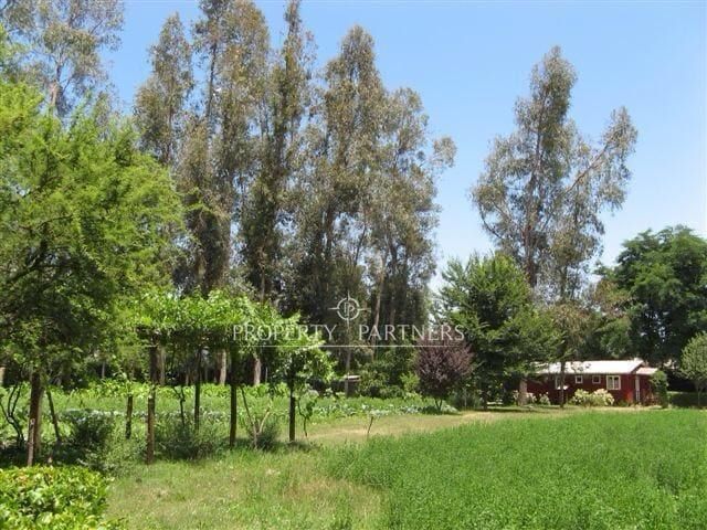 place photo 26