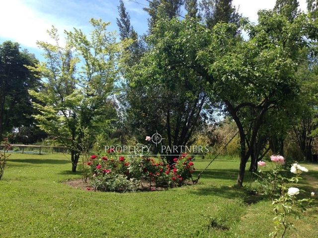place photo 22