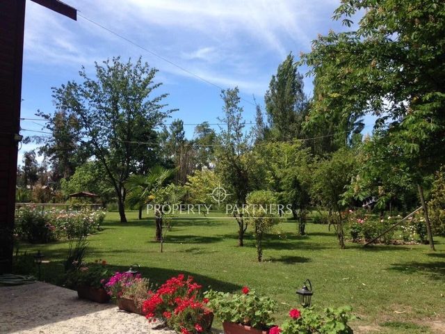 place photo 28