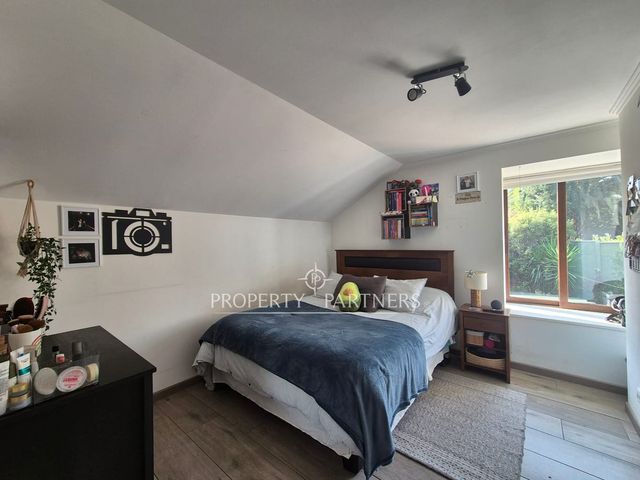 place photo 147