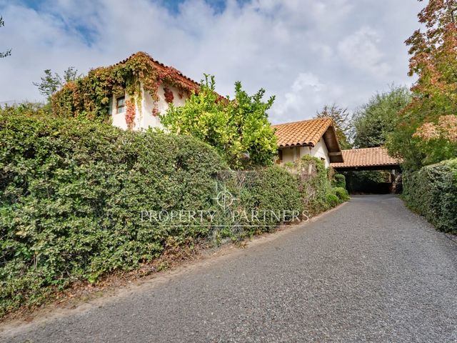 place photo 45