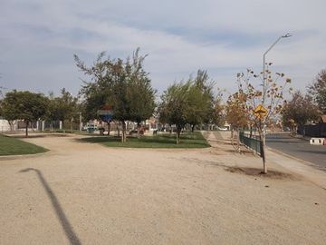 place photo 37