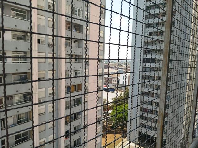 place photo 42