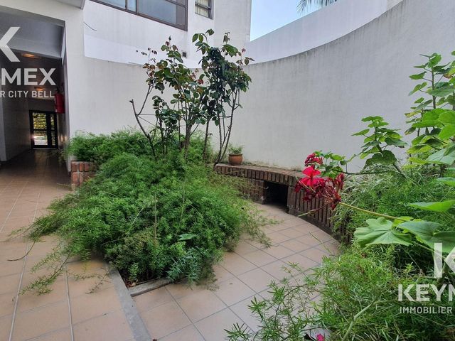 place photo 23