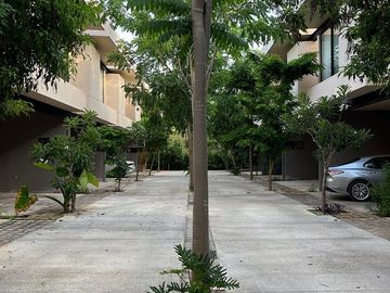 place photo 33