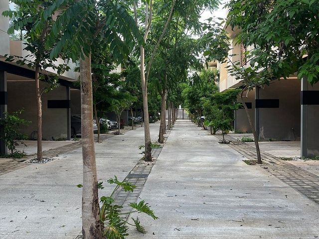 place photo 32