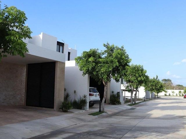 place photo 45