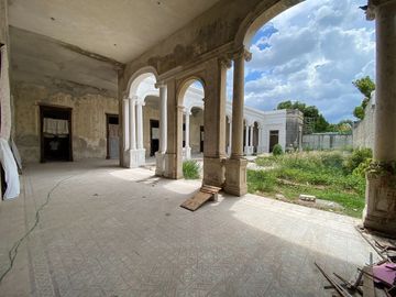 place photo 29