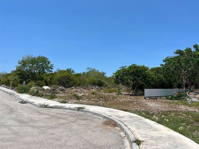 place photo 26