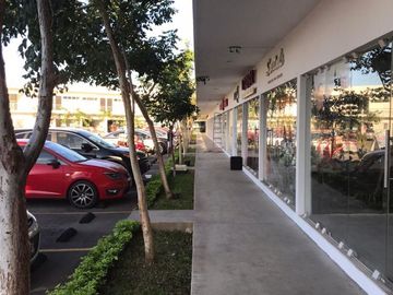 place photo 26