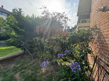 place photo 29