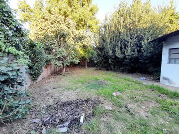 place photo 11