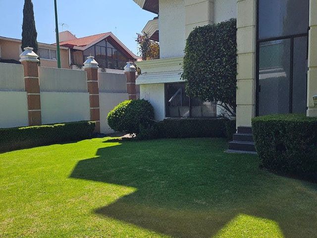 place photo 31
