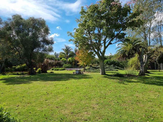 place photo 31