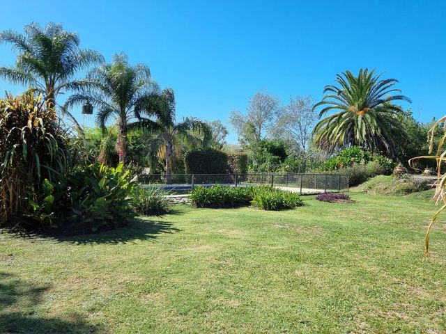 place photo 37