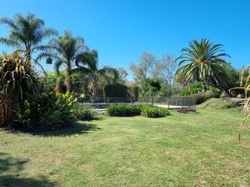 place photo 37