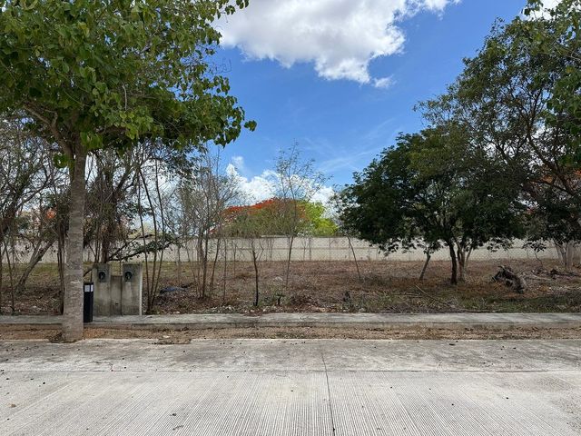 place photo 23