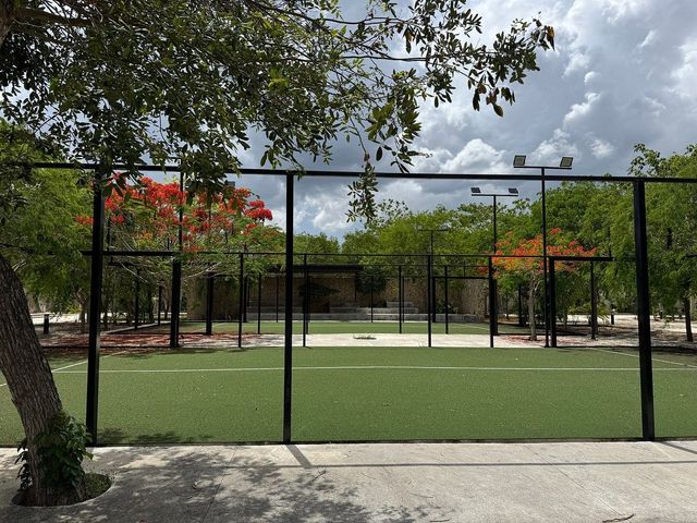 place photo 17