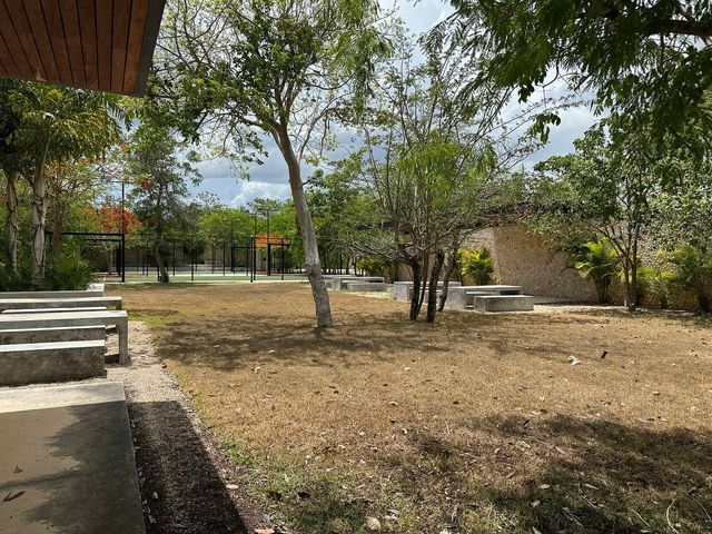 place photo 16