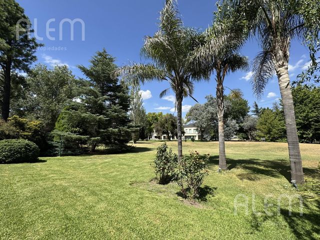 place photo 36