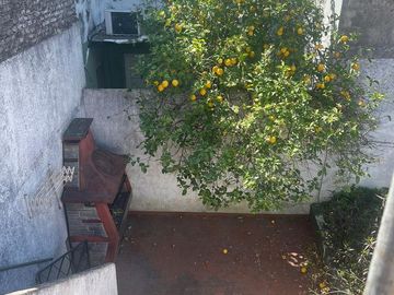 place photo 21