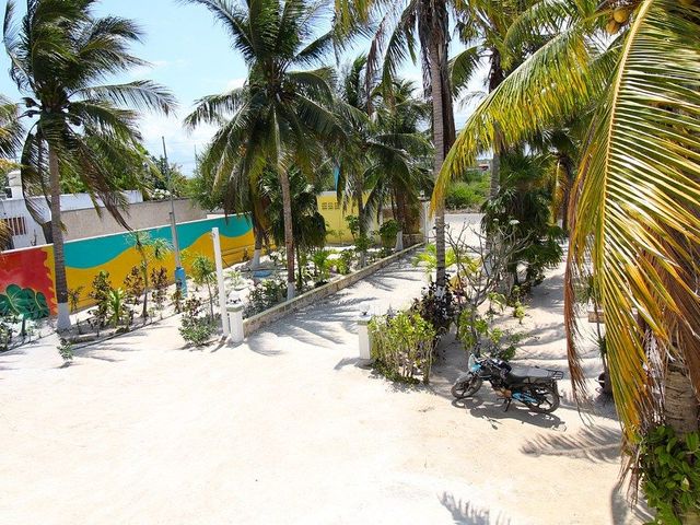place photo 16