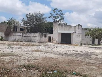 place photo 12