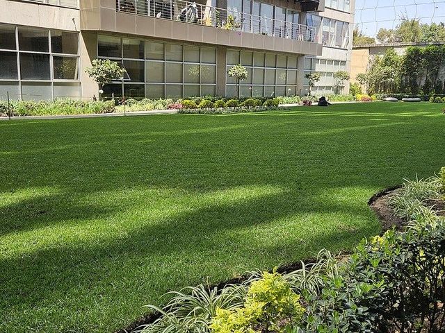 place photo 48