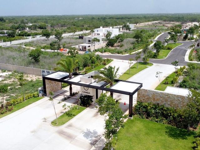 place photo 12