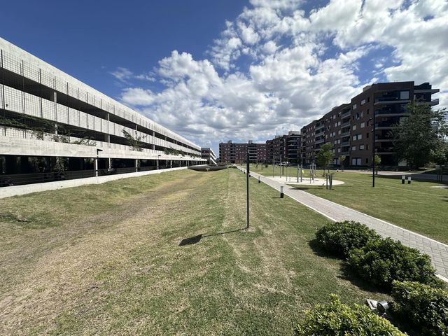 place photo 26