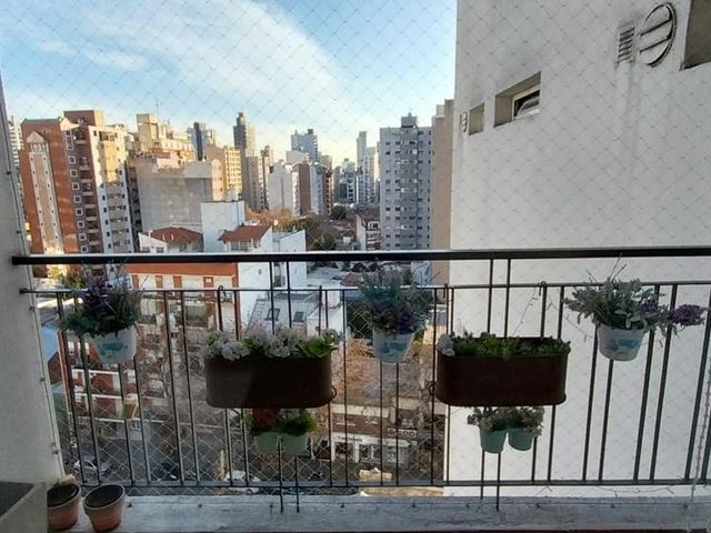 place photo 19
