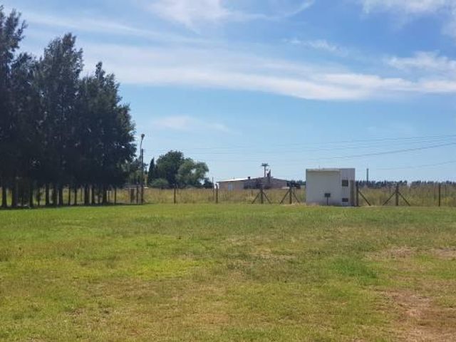 place photo 38