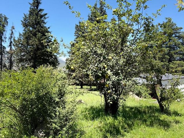 place photo 40