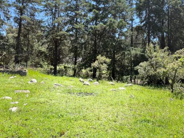 place photo 41