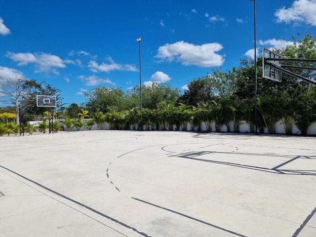 place photo 33