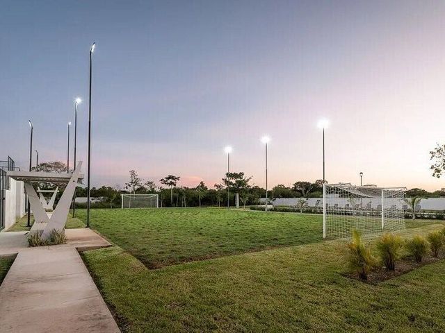 place photo 22
