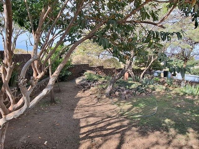 place photo 37