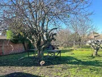 place photo 26