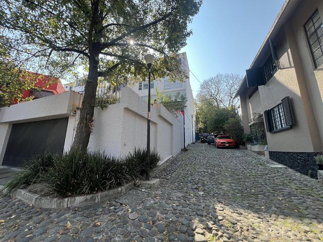 place photo 37