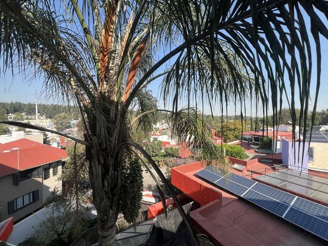 place photo 21