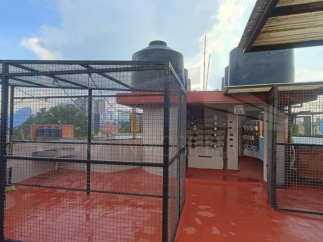 place photo 15