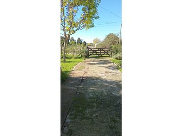 place photo 16