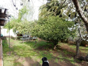 place photo 21
