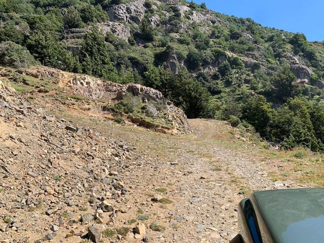 place photo 22