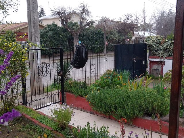 place photo 22