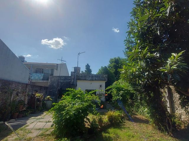 place photo 16